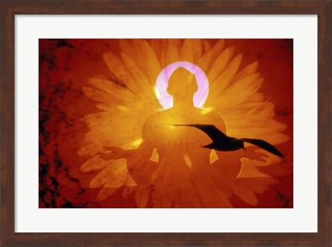Framed Image of a flower and bird superimposed on a person meditating Print