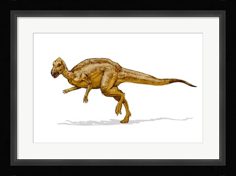 Framed Zalmoxes Print