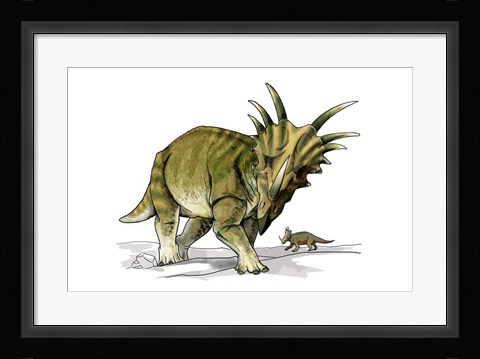 Framed Styracosaurus Print