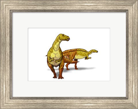 Framed Nanyangosaurus Print