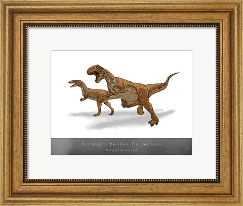 Framed Megalosaurus Print