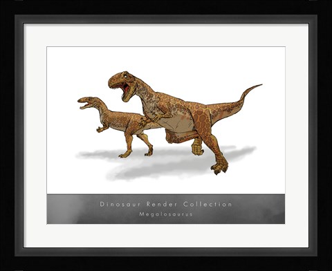 Framed Megalosaurus Print