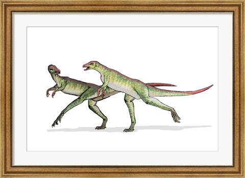 Framed Lesothosaurus Print