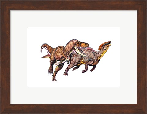 Framed Gorgosaurus Print