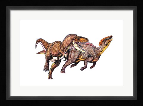 Framed Gorgosaurus Print