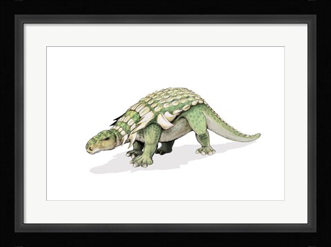 Framed Edmontonia Print