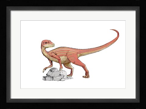 Framed Abrictosaurus Print