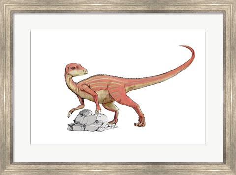 Framed Abrictosaurus Print