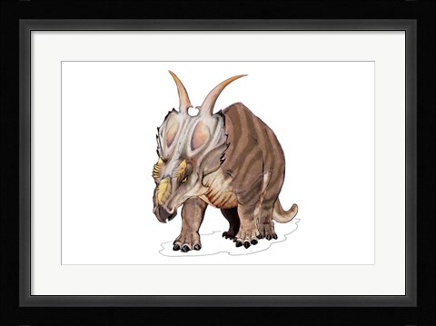 Framed Achelousaurus Print