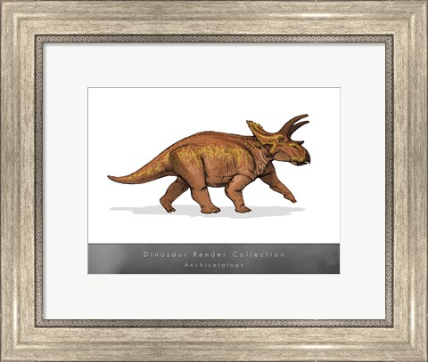 Framed Anchiceratops Print
