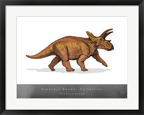 Framed Anchiceratops Print