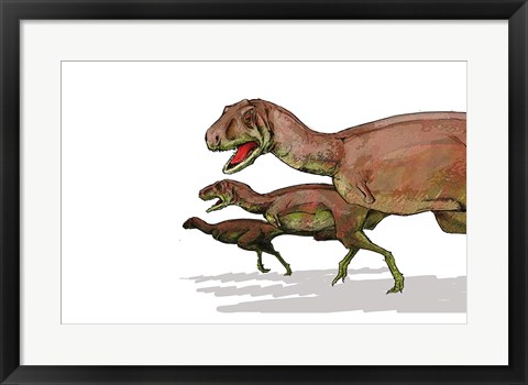 Framed Aucasaurus Print