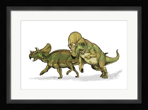Framed Avaceratops Print