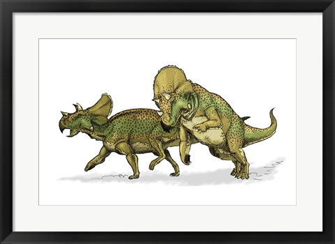 Framed Avaceratops Print