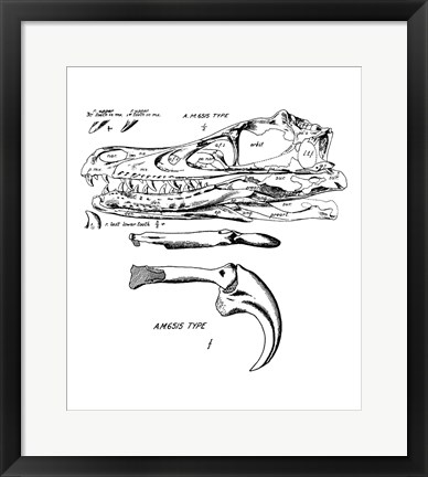 Framed Velociraptor Skull Chart Print