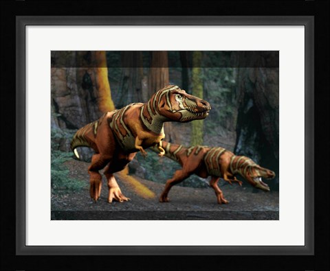 Framed T Rex Pair Print