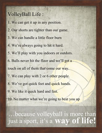 Framed Volleyball Life Print