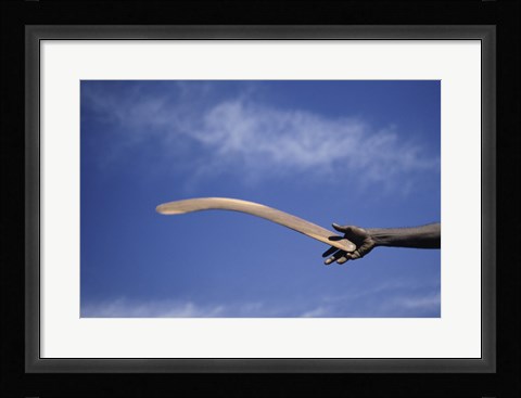Framed Throwing Non- Return, Fighting Boomerang, Australia Print