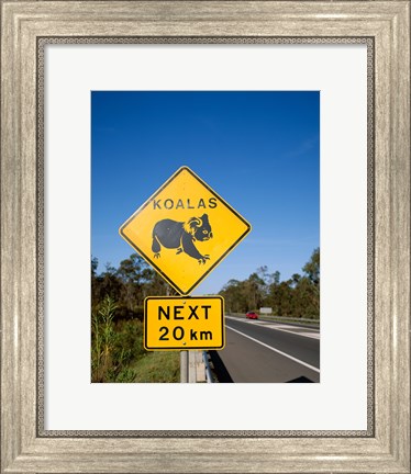 Framed Koala sign on the road, Queensland, Australia Print