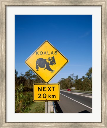 Framed Koala sign on the road, Queensland, Australia Print