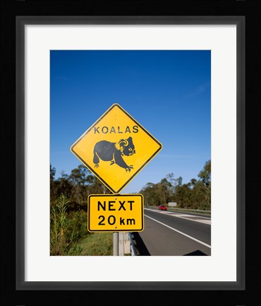 Framed Koala sign on the road, Queensland, Australia Print