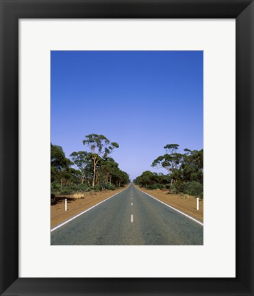 Framed Road passing through a forest, Western Australia, Australia Print
