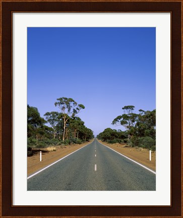 Framed Road passing through a forest, Western Australia, Australia Print