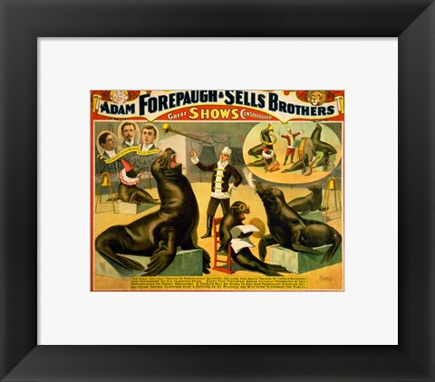 Framed Circus Seals Print
