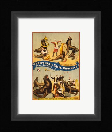 Framed Sells Brothers Sea Lion Circus Print