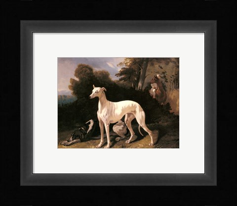 Framed Alfred Dedreux - A Greyhound In An Extensive Landscape Print