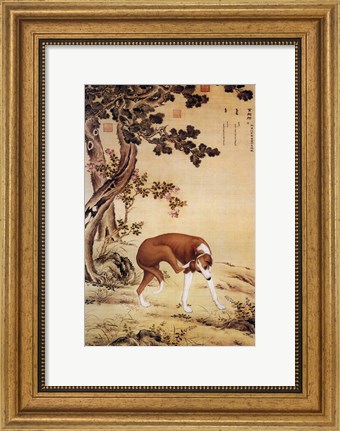 Framed Ten Prized Dogs Chinese Greyhound Print