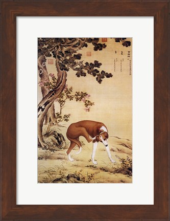 Framed Ten Prized Dogs Chinese Greyhound Print