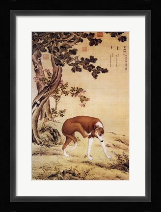 Framed Ten Prized Dogs Chinese Greyhound Print