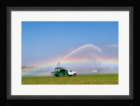 Framed Rainbow seen under the spray from sprinkler in a vegetable field, Florida, USA Print