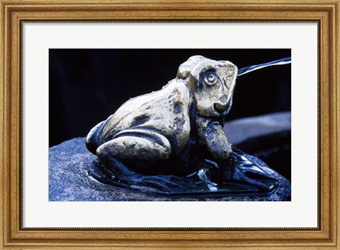 Framed Canada, British Columbia,  Butchart Gardens, sculpture frog, fountain Print
