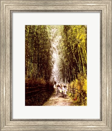 Framed Bamboo Path Print