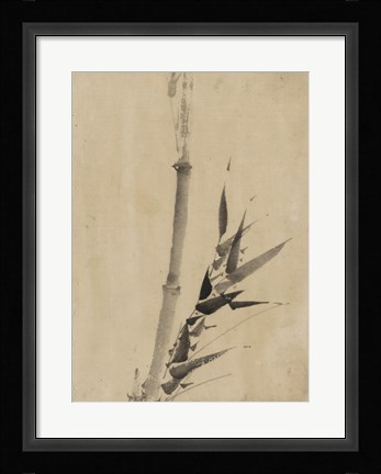 Framed Banboo Ink Painting Print