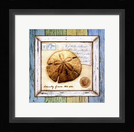 Framed Sea Treasures XI Print