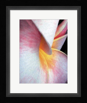 Framed Flowers II Print