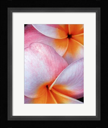 Framed Flowers I Print