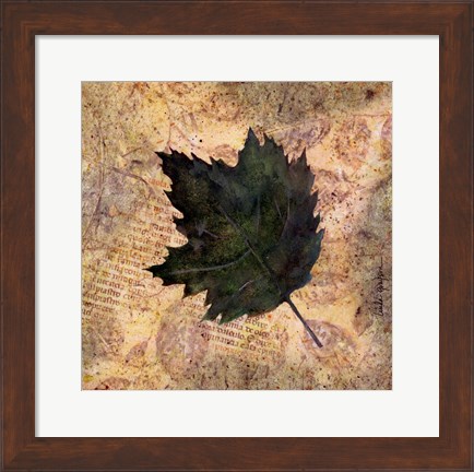 Framed Antiqued Leaves III Print