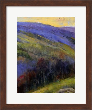Framed Mountain View IV Print