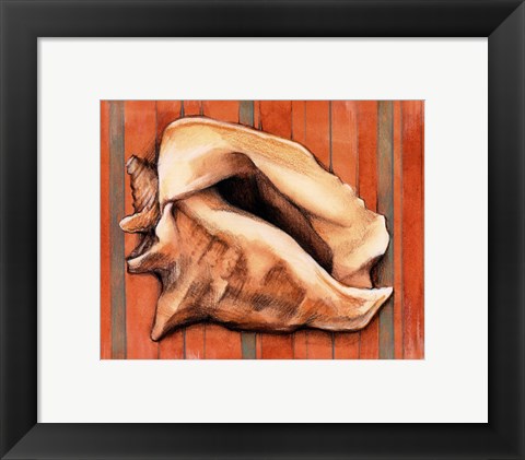 Framed Shell on Stripes I Print