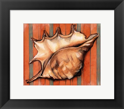 Framed Shell on Stripes II Print