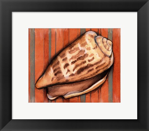 Framed Shell on Stripes III Print