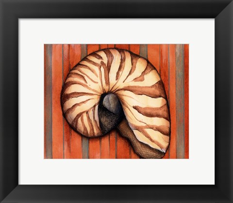 Framed Shell on Stripes IV Print