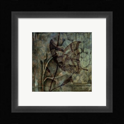 Framed Small Ethereal Wings V Print