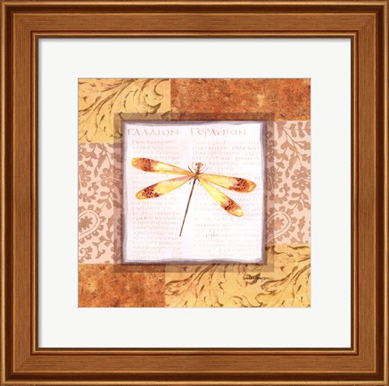 Framed Collaged Dragonflies IV Print