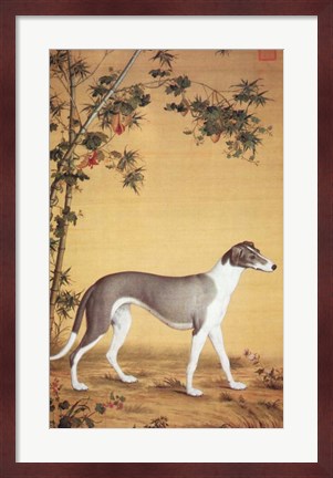 Framed Greyhound by Bamboo Print