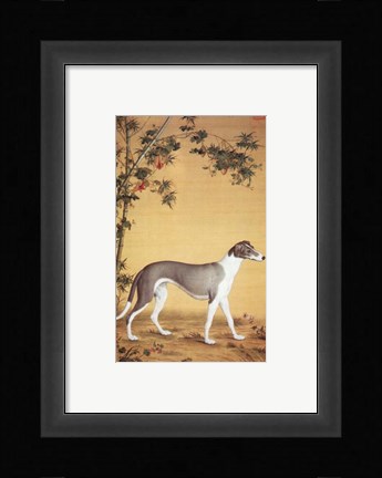 Framed Greyhound by Bamboo Print